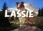 Lassie