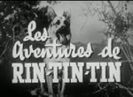 Rin-Tin-Tin - image 1