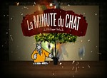 La Minute du Chat