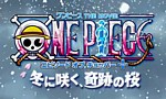 One Piece - Film 09 : Épisode de Chopper - image 1