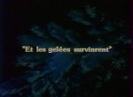 Le Petit Col Gris - image 7