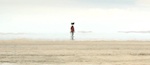 Rango - image 7