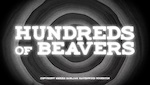 Hundreds of Beavers